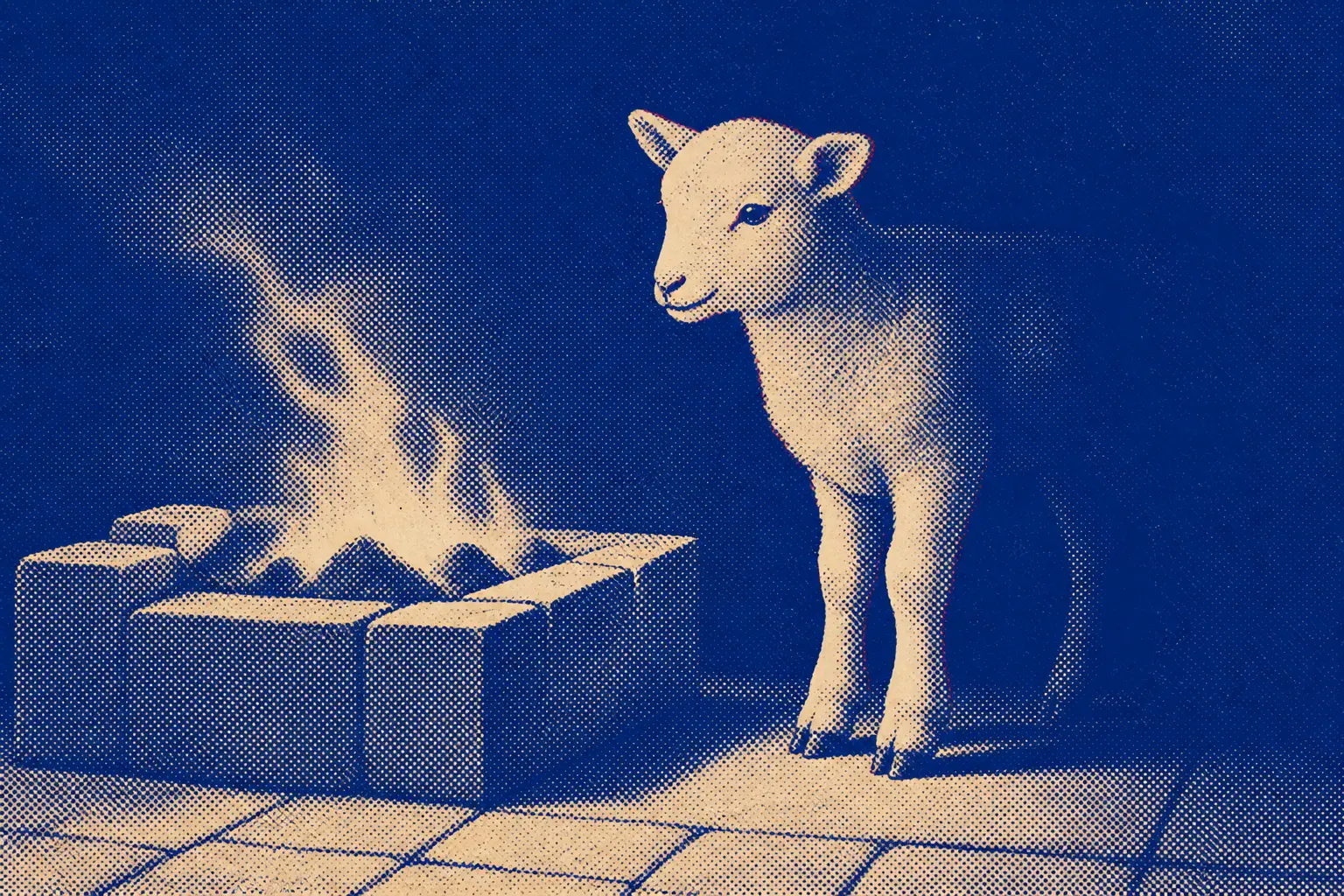 A young lamb standing calmly on the warm side of a low stone altar fire, firelight along its flank, nothing else in the frame