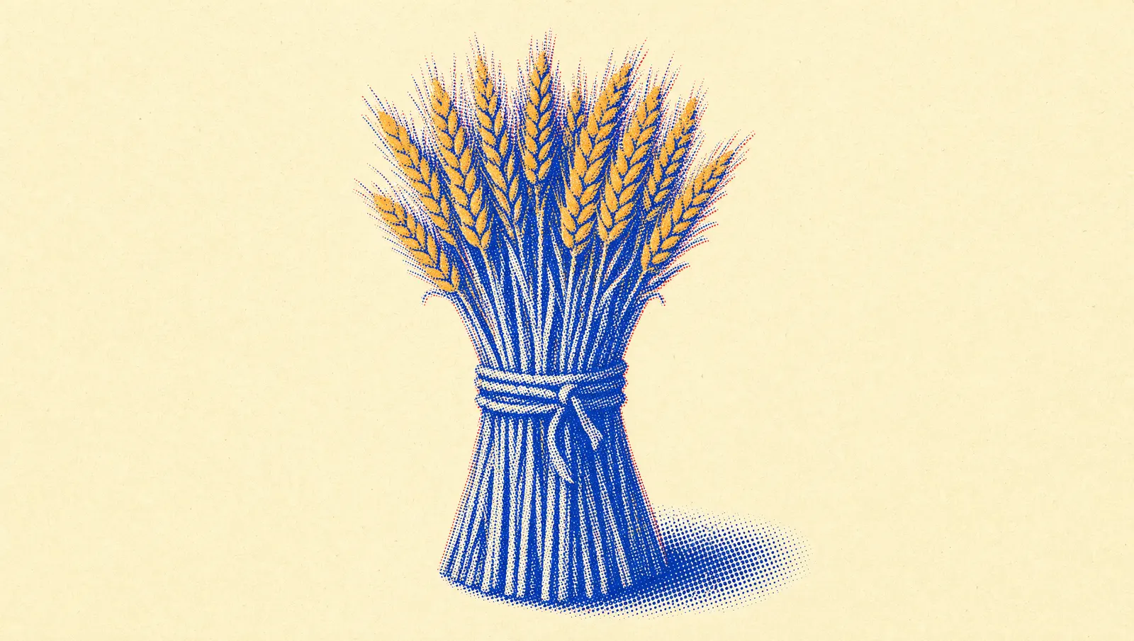 A single bound sheaf of grain standing upright, its heads tipped gold